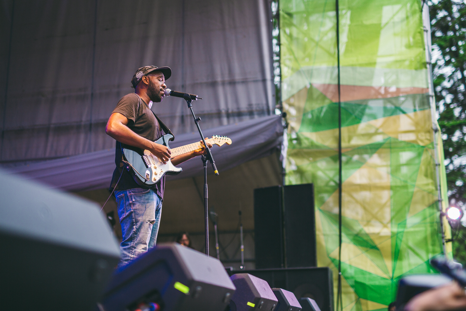 Shad. Photo by Alan Yuen.